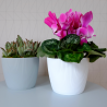 Doniczka osłonka na kwiatki magnolia 14cm okrągła