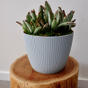 Doniczka osłonka na kwiatki magnolia 22cm okrągła
