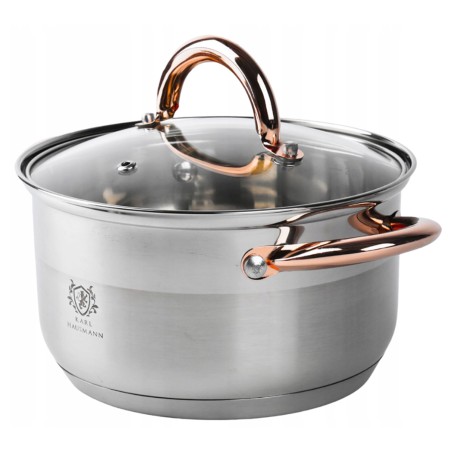 Garnek ze stali nierdzewnej 6L Karl Hausmann Solid Gold na indukcję z pokrywką – elegancki garnek stalowy do kuchni