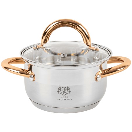Garnek ze stali nierdzewnej 1,6L Karl Hausmann Solid Gold na indukcję z pokrywką – elegancki garnek stalowy do kuchni